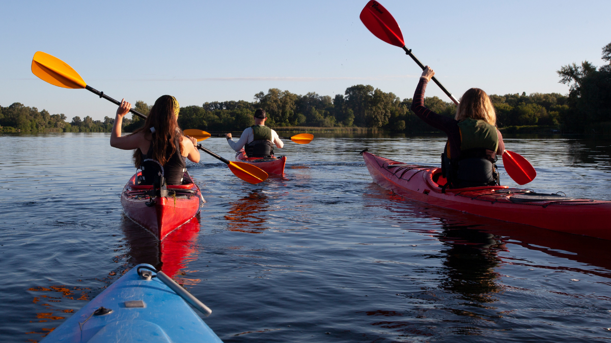 A group of people kayak on a lake.