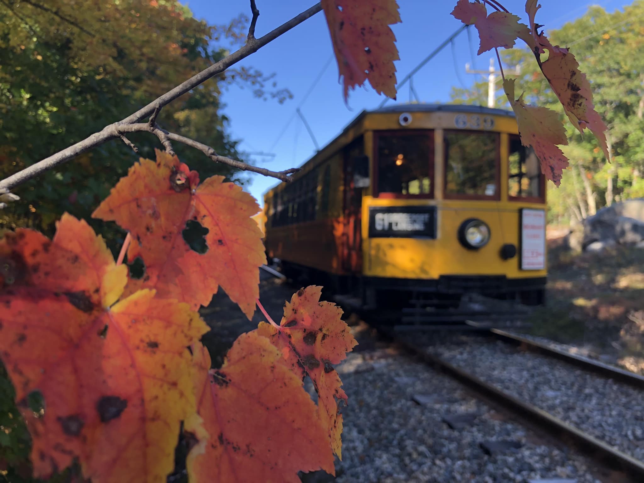 Pumpkin Patch Trolley Rides at the Seashore Trolley Museum