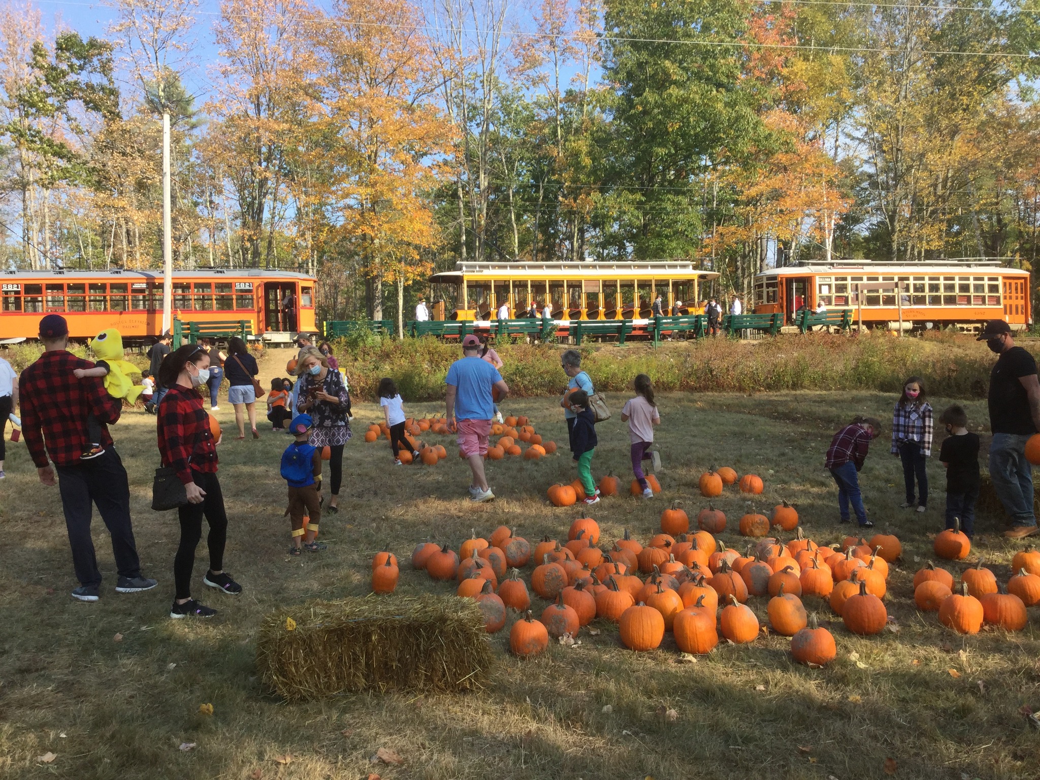A family selects pumpkins at Seashore Trolley Museum’s pumpkin patch, fall 2020.